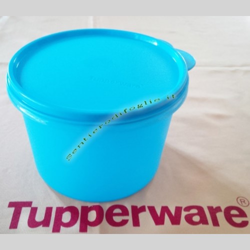 Contenitore Tupperware Azzurro 1,1 Lt per la Cucina - Sentierodifoglie, il  mercatino delle occasioni