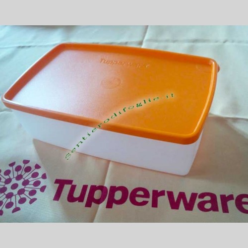 https://sentierodifoglie.it/2705-thickbox_default/contenitori-b05-tupperware-freezer-bianco-arancione.jpg